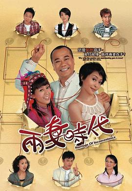 两妻时代国语 第09集
