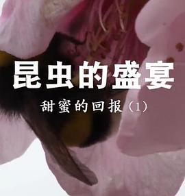 昆虫的盛宴粤语 第03集