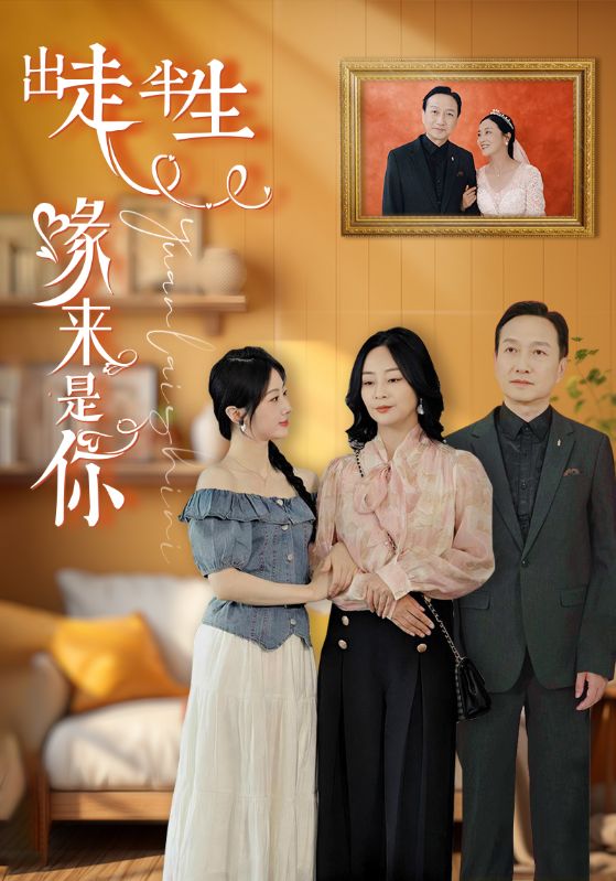 出走半生缘来是你 第28集