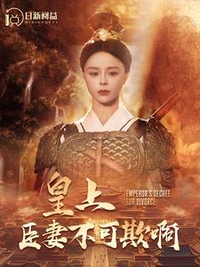 皇上臣妻不可欺啊 第33集