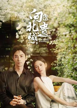 向北的遗憾 第11集