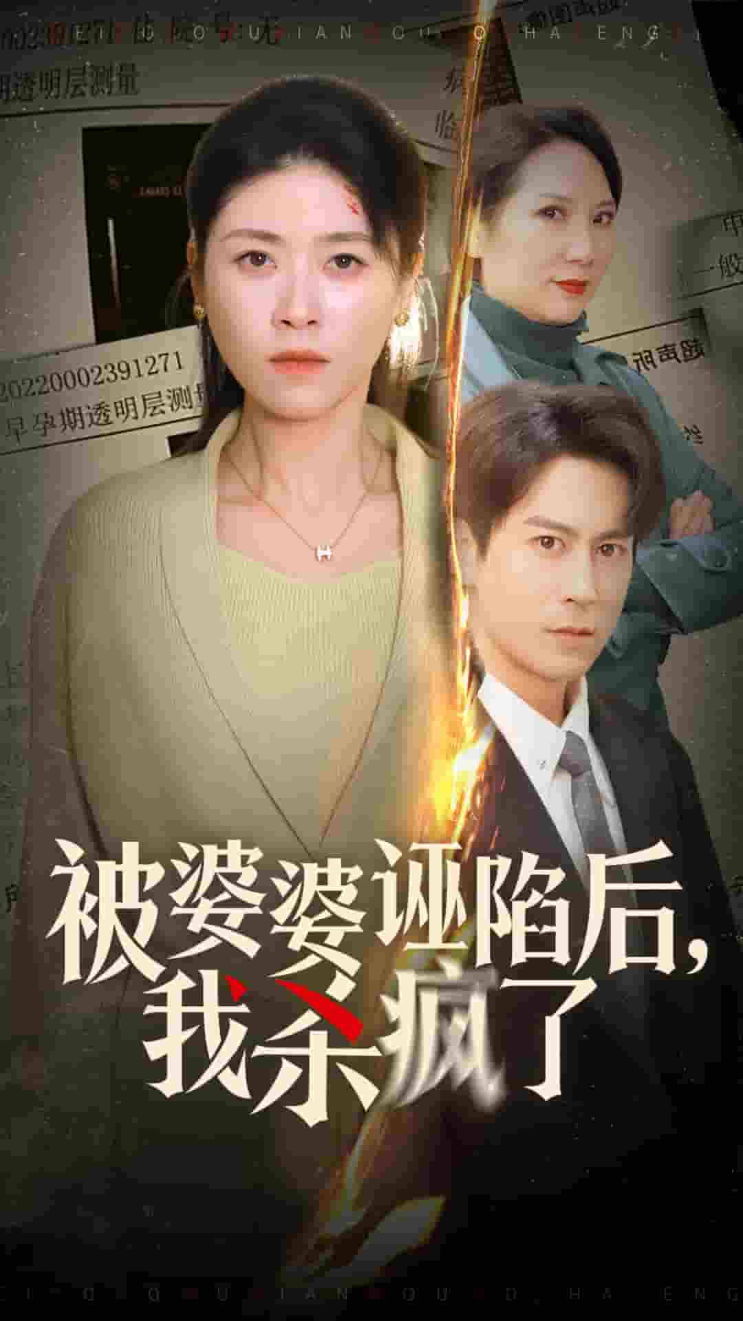 被婆婆诬陷后我杀疯了 第30集(大结局)