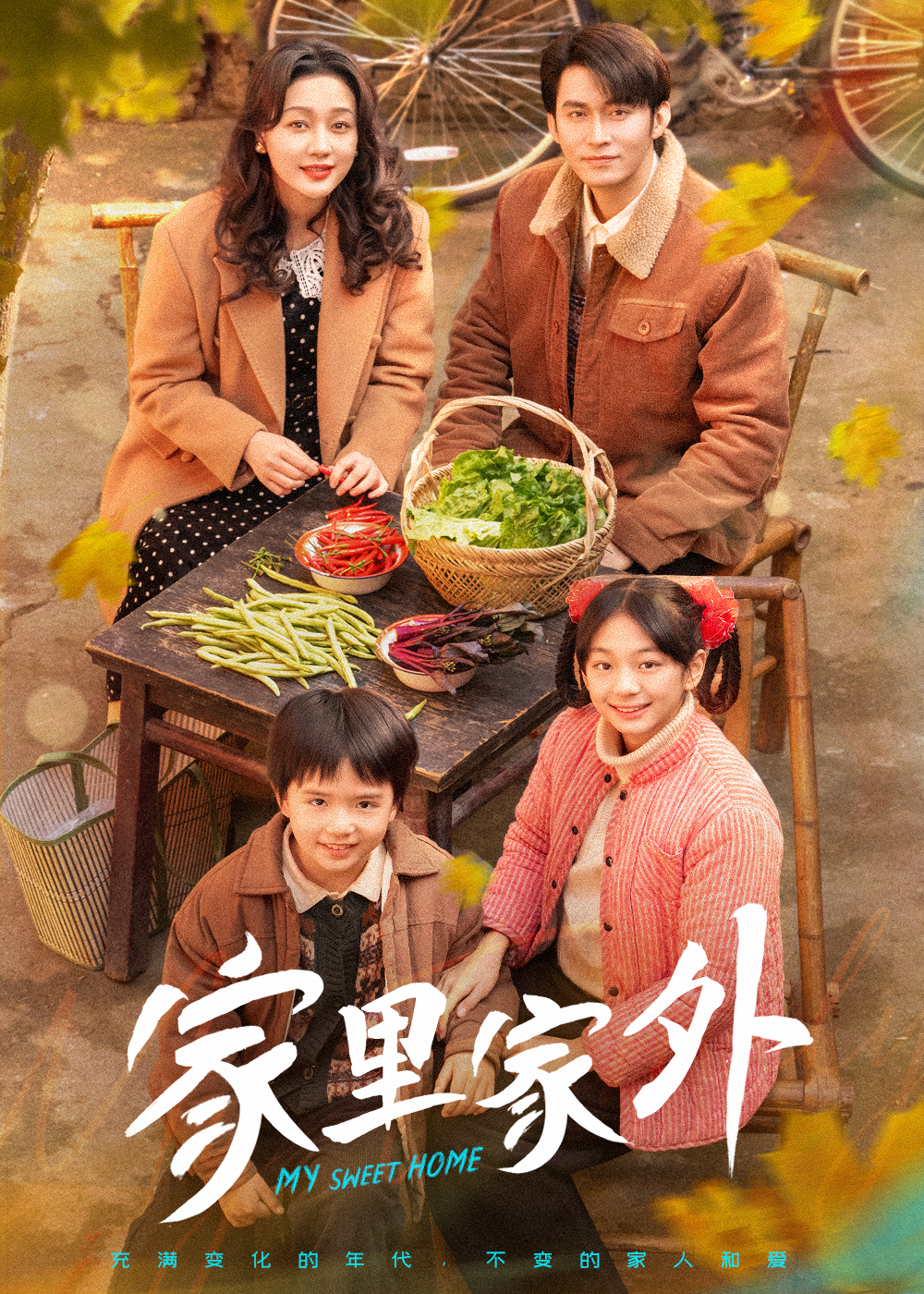 家里家外 短剧版 第20集