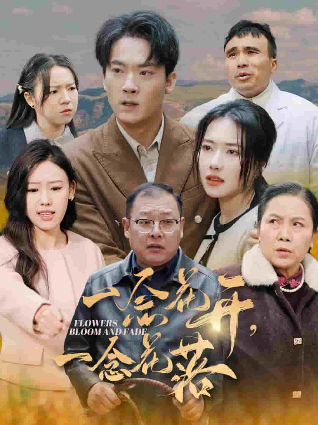 一念花开一念花落 第29集