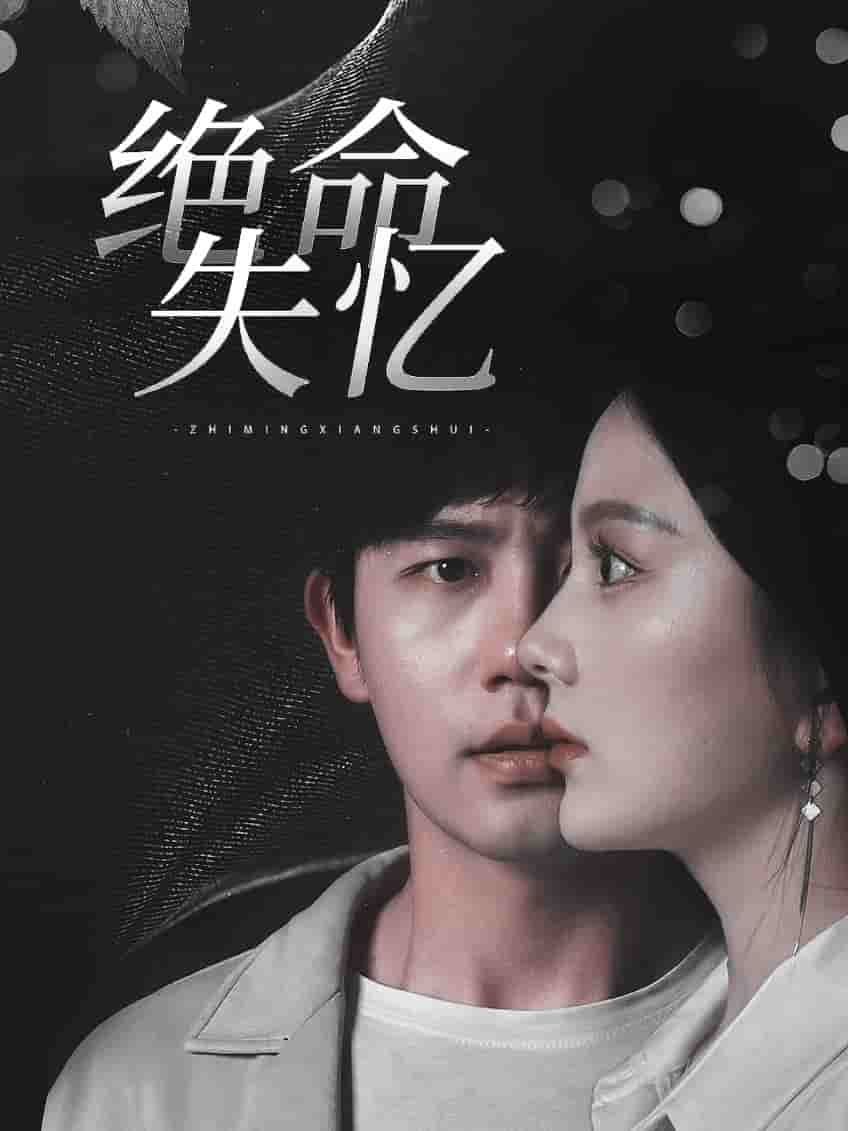 绝命失忆 第54集