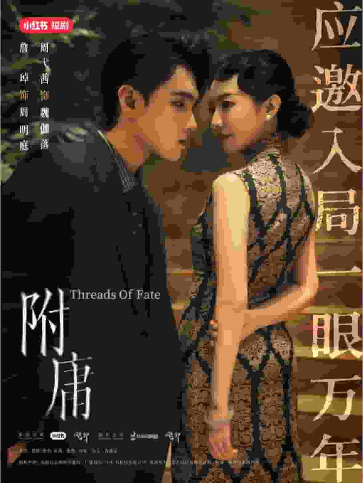 附庸 第15集