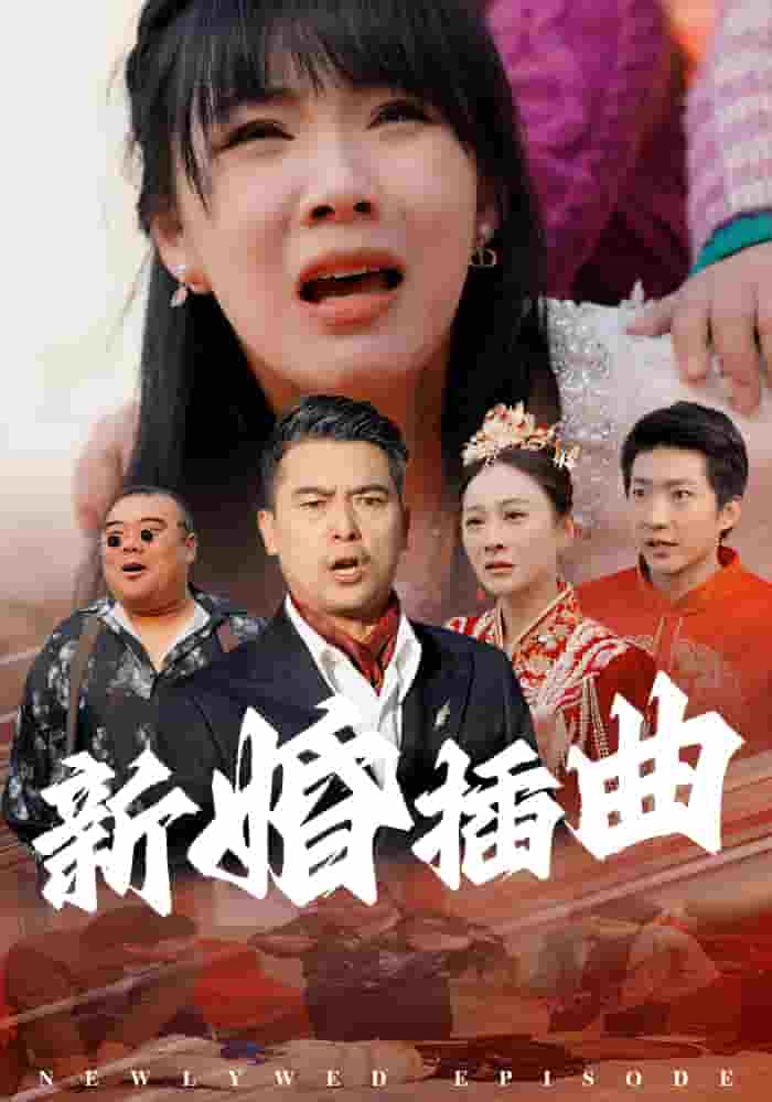 新婚插曲 第27集