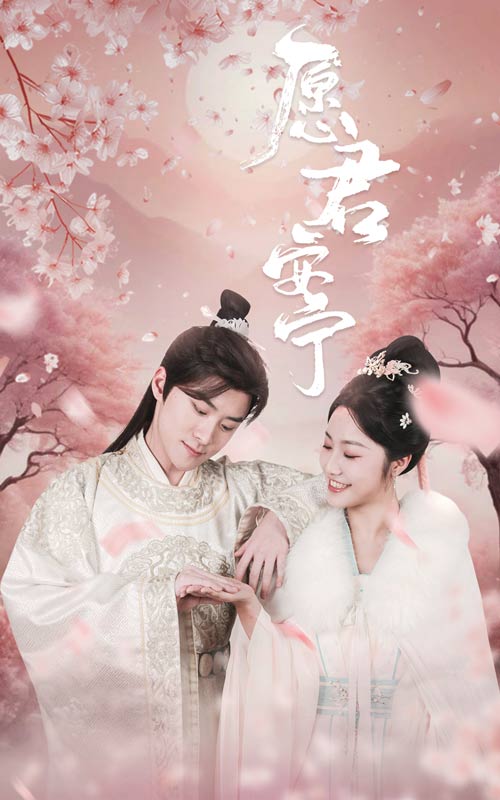 愿君安宁 第9集