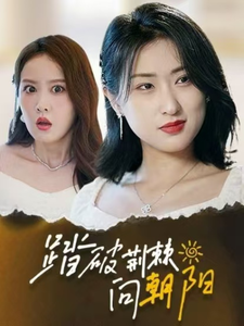 踏破荆棘向朝阳 第70集