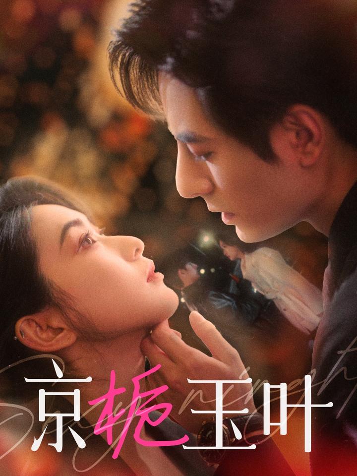 京栀玉叶 第29集