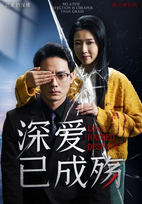 深爱已成殇 第2集