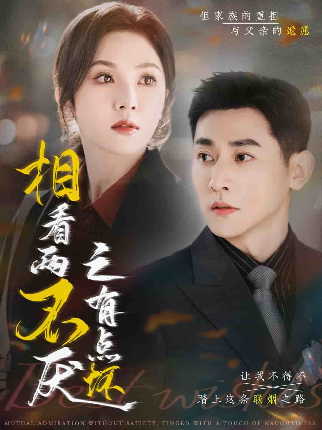 相看两不厌之有点坏 第70集(大结局)