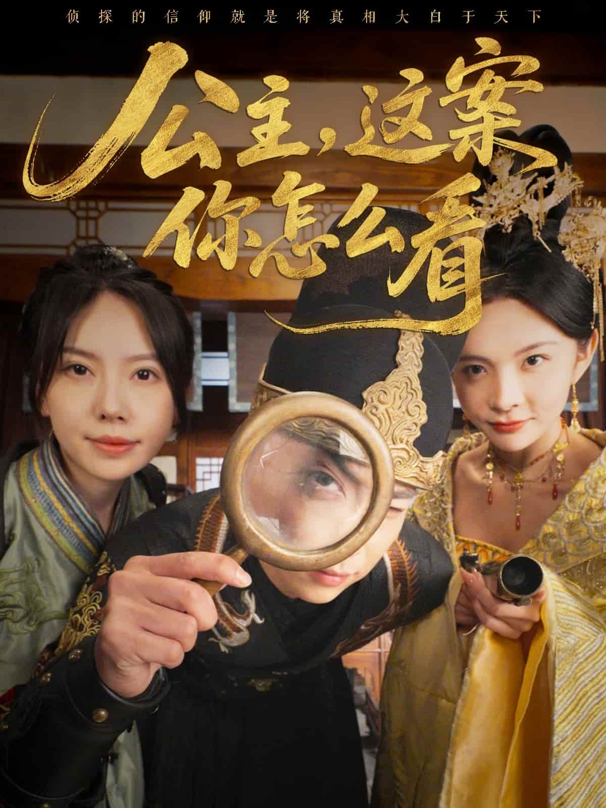 公主，这案你怎么看 第13集