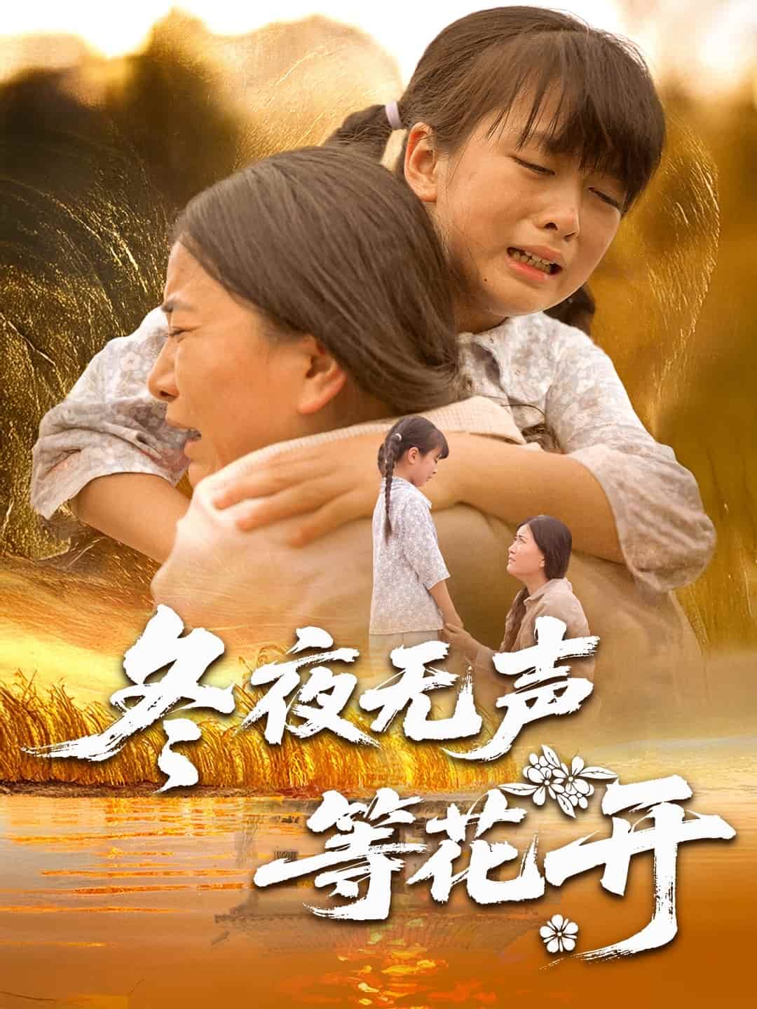 冬夜无声等花开 第02集