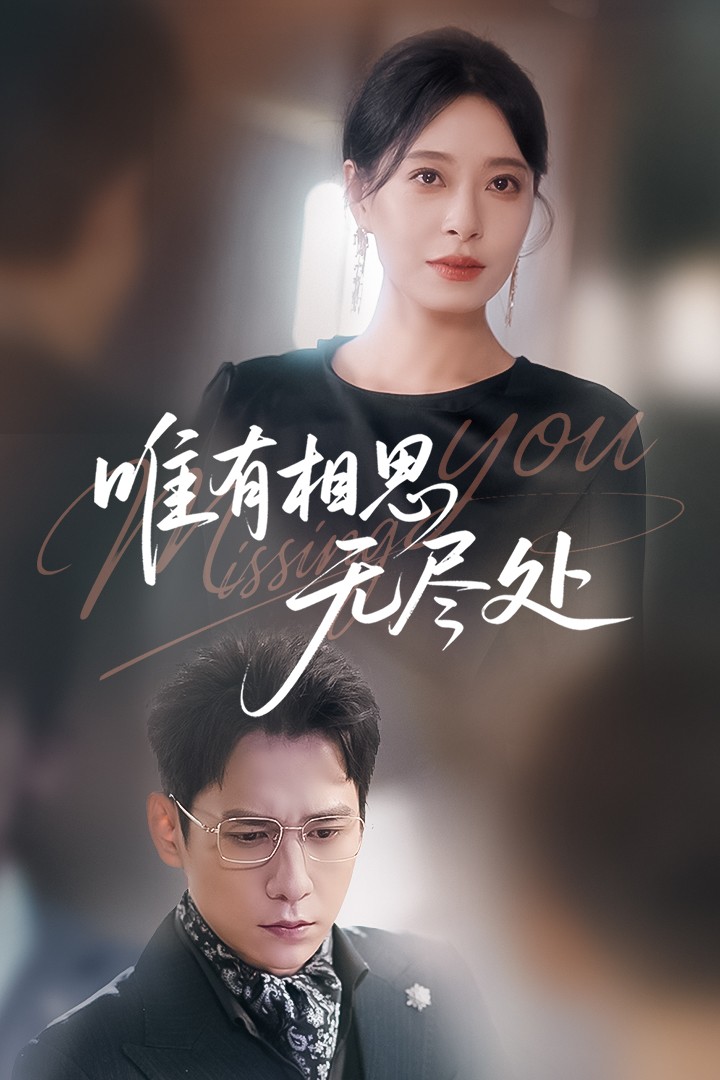 唯有相思无尽处 第35集
