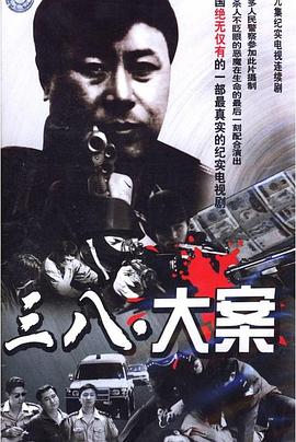 沈阳三八大案侦破纪实 第01集