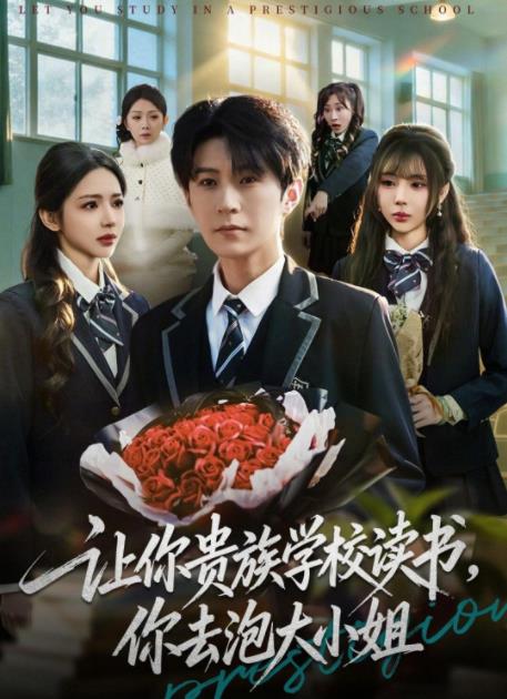 让你贵族学校读书，你去泡大小姐(全集)