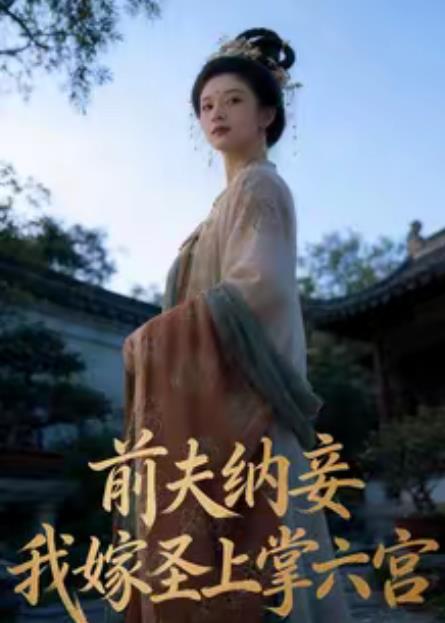 前夫纳妾，我嫁圣上掌六宫(全集)