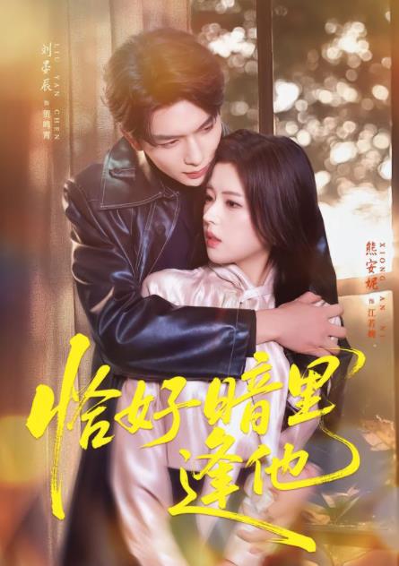 恰好暗里逢他 第19集