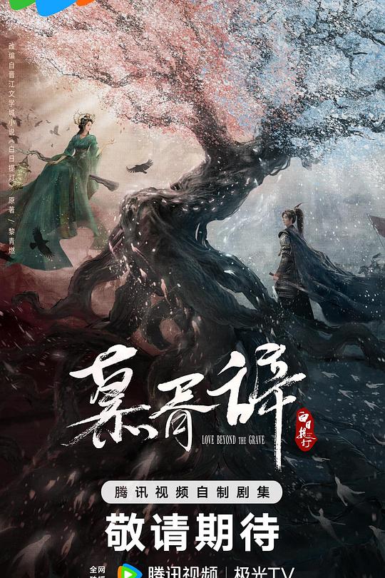白日提灯 第29集