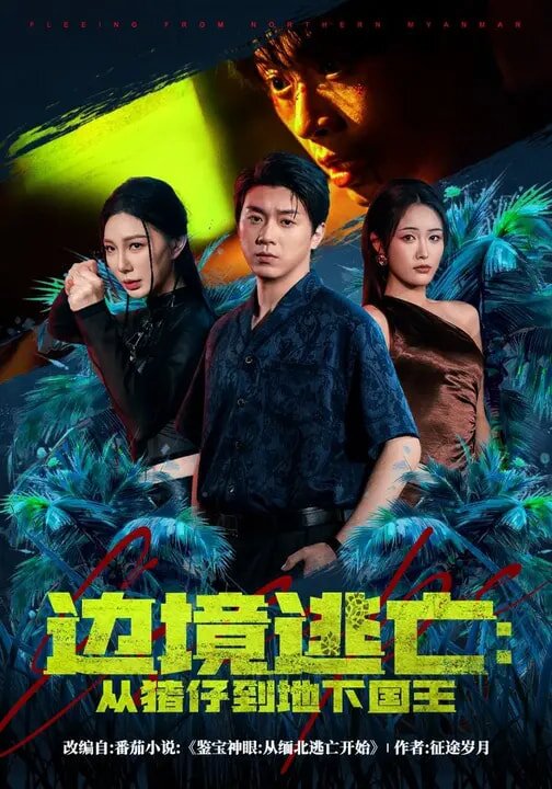 边境逃亡：从猪仔到地下国王 第20集