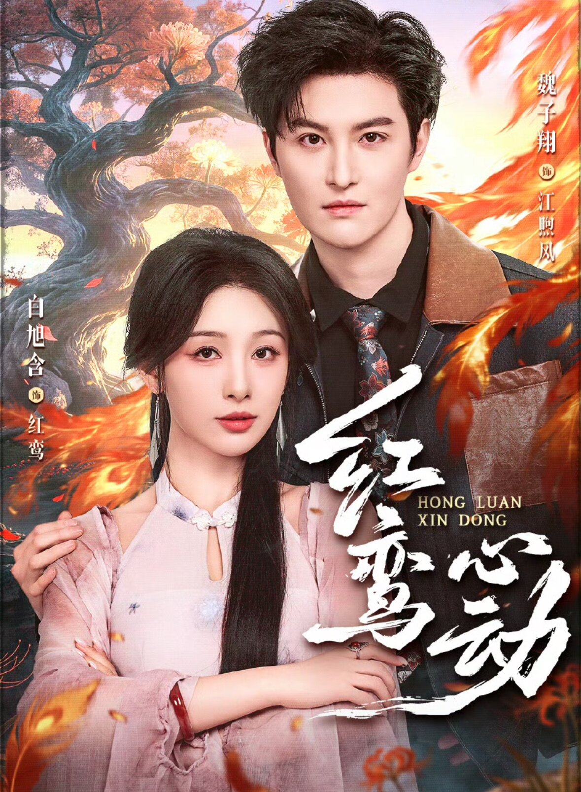 红鸾心动 第48集