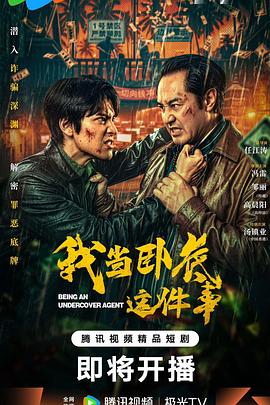 我当卧底这件事 第22集