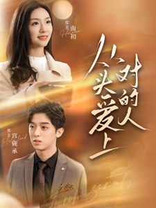 从头爱上对的人 第29集