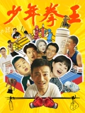 少年拳王