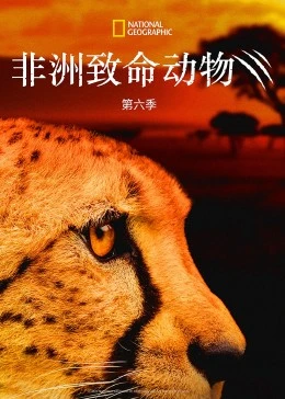 非洲致命动物第六季(全集)